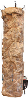 Climbing Wall Climbing Wall